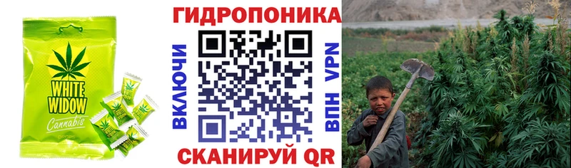 Еда ТГК конопля  Купить где  Злынка 