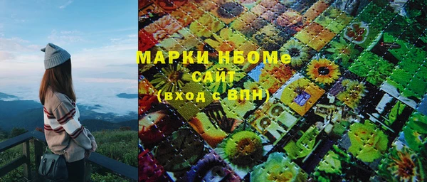 индика Зеленодольск