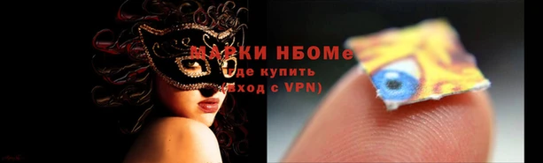 гашик Зеленокумск