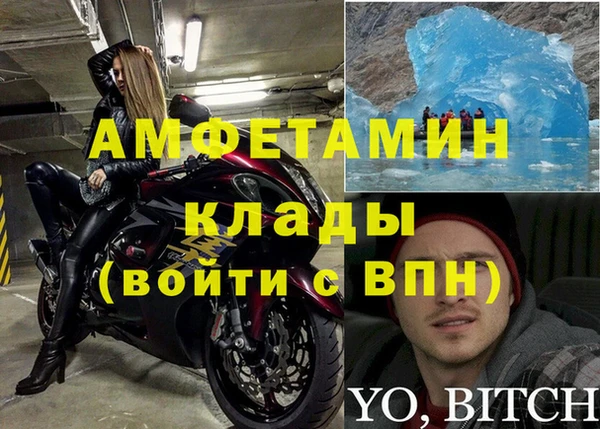 индика Зеленодольск
