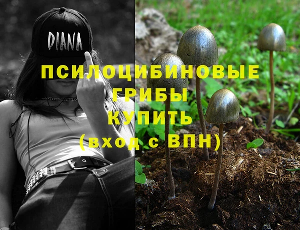 таблы Каменка