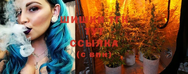 индика Зеленодольск