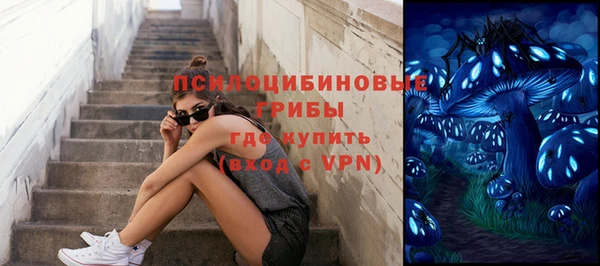 mdpv Иннополис