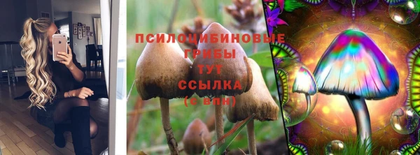 прущие крисы Каменск-Шахтинский